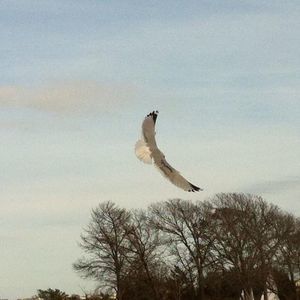 Meet your Posher, Will